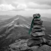 Progresser comme leader sans formation : le développement par l'action