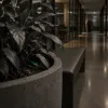 Shadow AI : quand vos salariés utilisent l'IA dans votre dos, c'est un signal, pas une faute