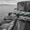 Communication assertive du manager : dire non sans braquer, exiger sans crisper