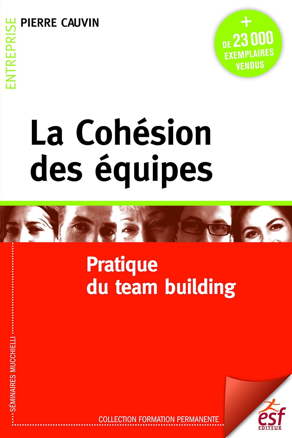 La cohésion des équipes: Pratique du team building (Formation permanente t - 119)