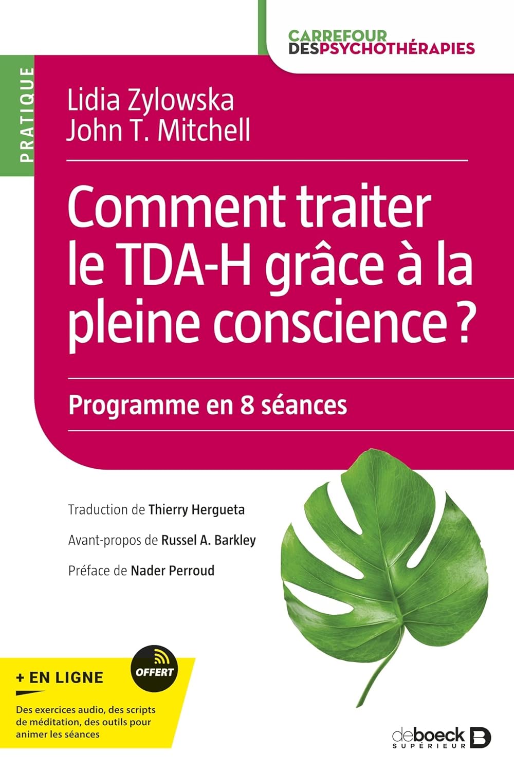 Comment traiter le TDA-H grâce à la pleine conscience ?: Programme en 8 séances