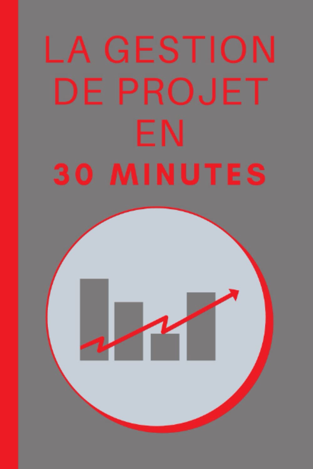 La Gestion de Projet en 30 Minutes: Les bases de la Gestion de Projet en 30 minutes