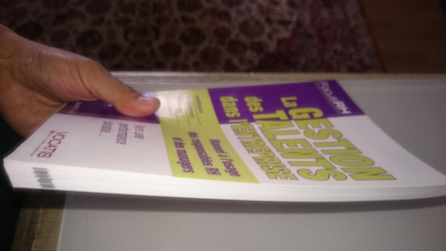 La gestion des talents dans l'entreprise: manuel à l'usage des responsables RH et des managers