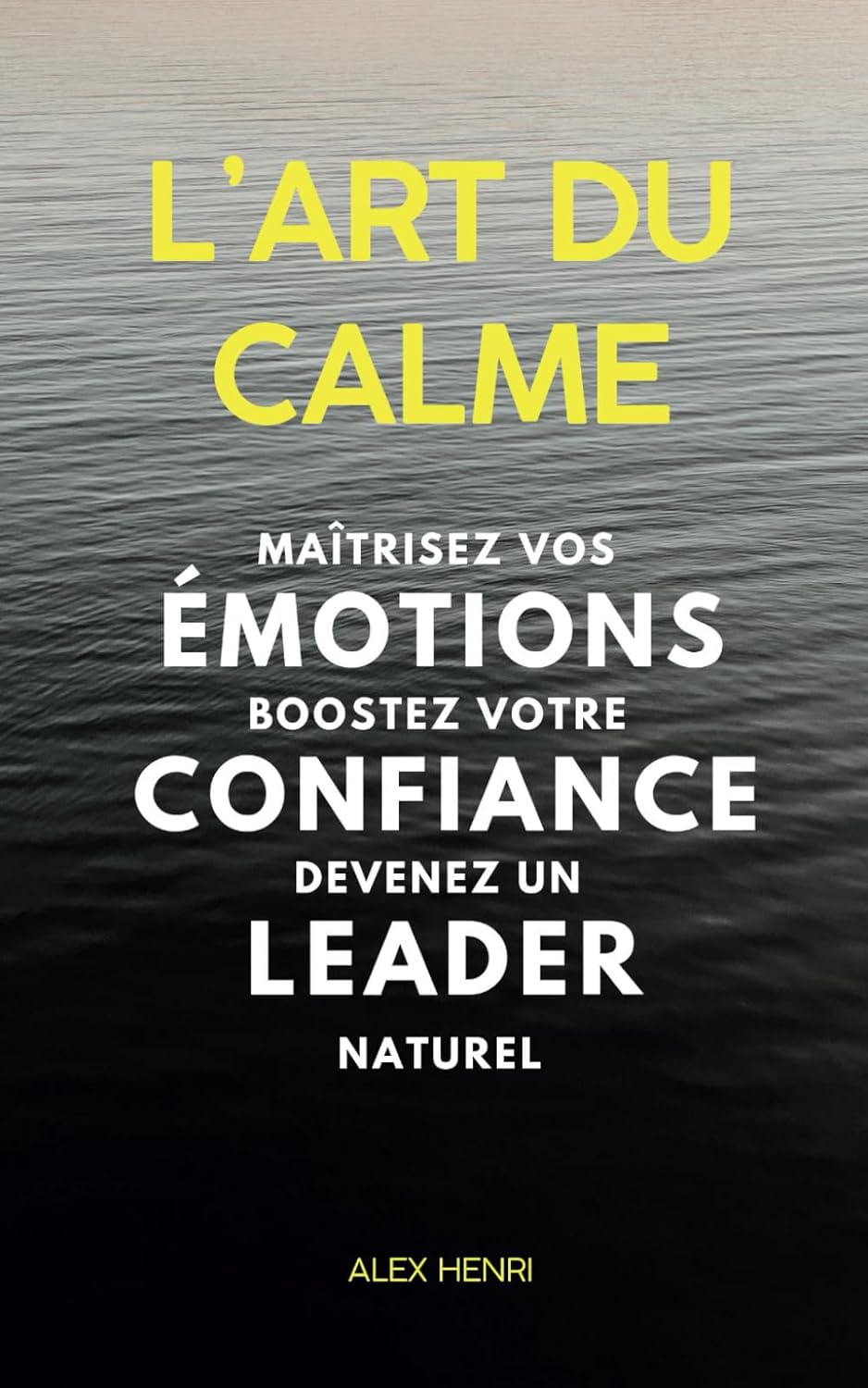 L'Art du Calme: Maîtrisez vos Émotions, Boostez votre Confiance et Devenez un Leader Naturel