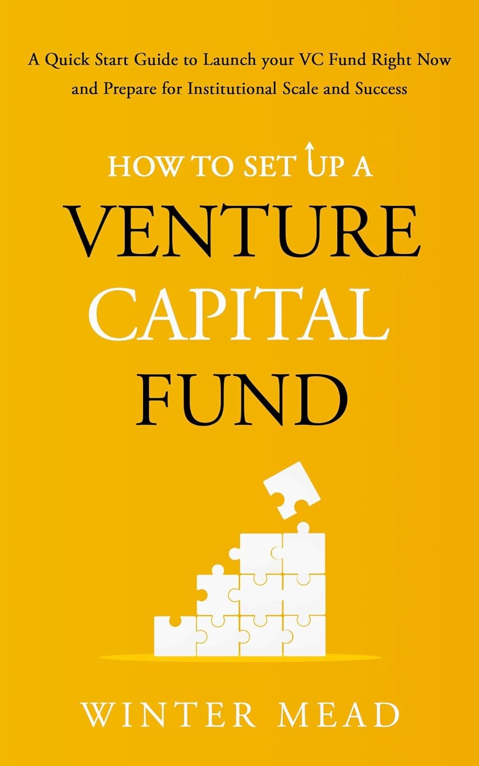 How To Set Up A Venture Capital Fund: A Quick Start Guide to Launching Your VC Fund Right Now and Preparing for Institutional Scale and Success (English Edition)