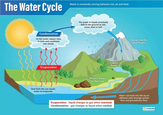 Daydream Education Le cycle de l'eau - Affiches scientifiques - Papier brillant mesurant 850mm x 594mm (A1) - Graphiques scientifiques pour la salle de classe - Tableaux éducatifs
