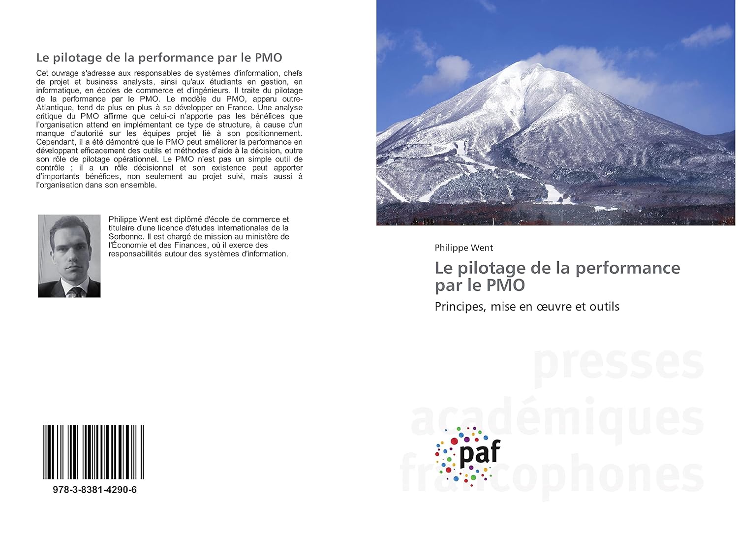 Le pilotage de la performance par le PMO: Principes, mise en œuvre et outils