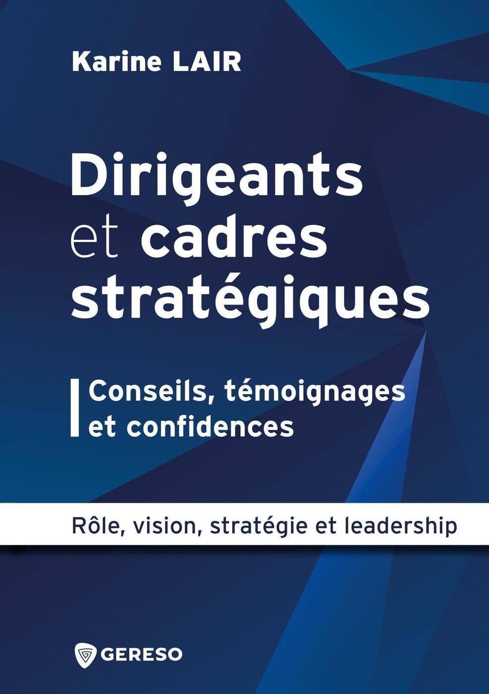 Dirigeants et cadres stratégiques : conseils, témoignages et confidences: Rôle, vision, stratégie et leadership (Hors collection)