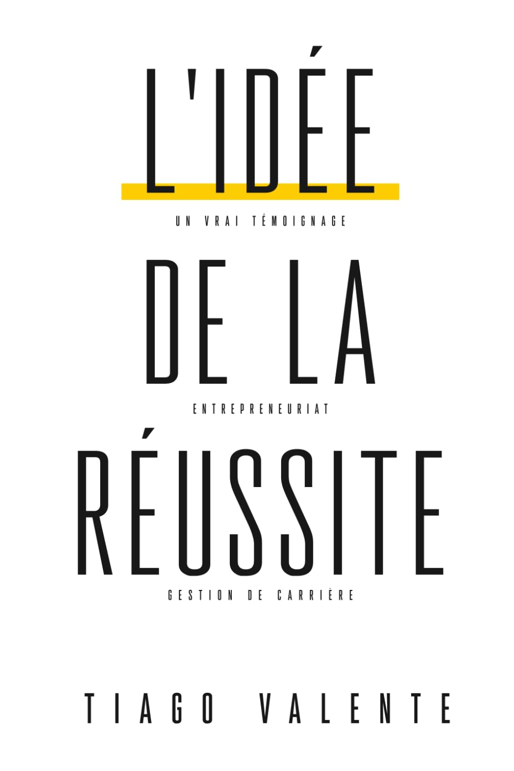 L'idée de la Réussite: Un Vrai témoignage sur Entrepreneuriat et Gestion de Carrière