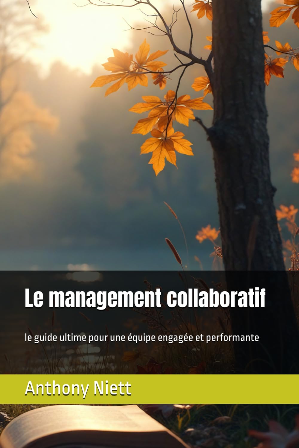 Le management collaboratif: le guide ultime pour une équipe engagée et performante