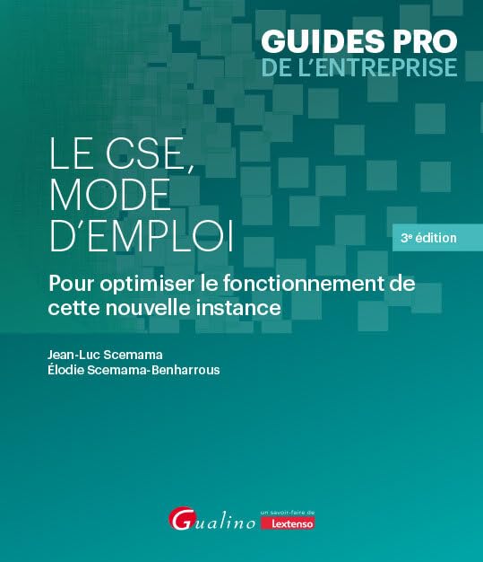 Le CSE, mode d'emploi: Pour optimiser le fonctionnement de cette nouvelle instance