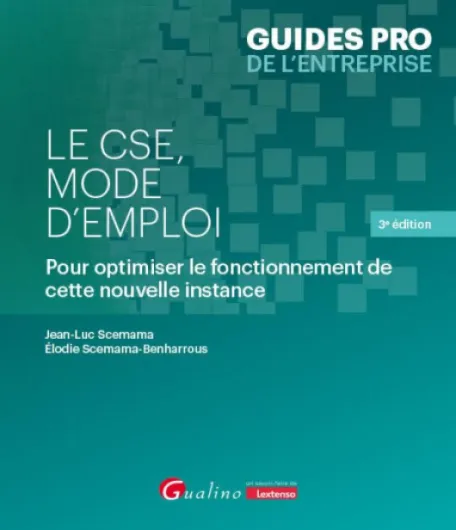 Le CSE, mode d'emploi: Pour optimiser le fonctionnement de cette nouvelle instance