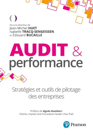 Audit & performance: Stratégies et outils de pilotage des entreprises