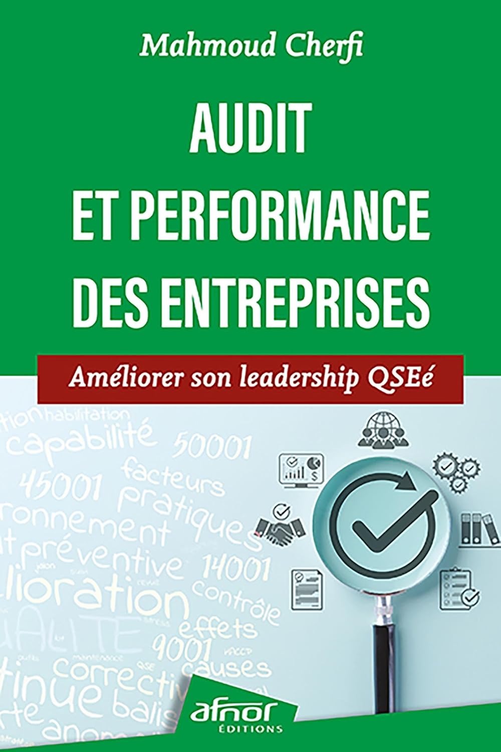 Audit et performance des entreprises: Améliorer son leadership QSEé