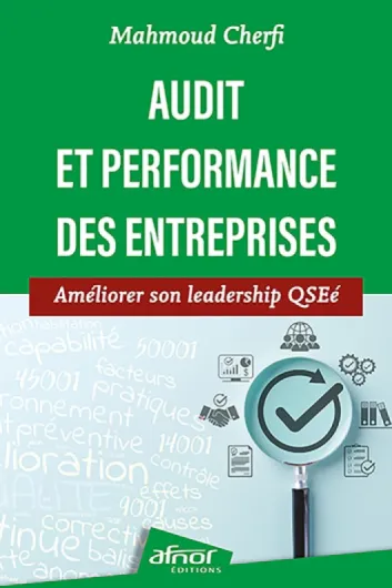 Audit et performance des entreprises: Améliorer son leadership QSEé
