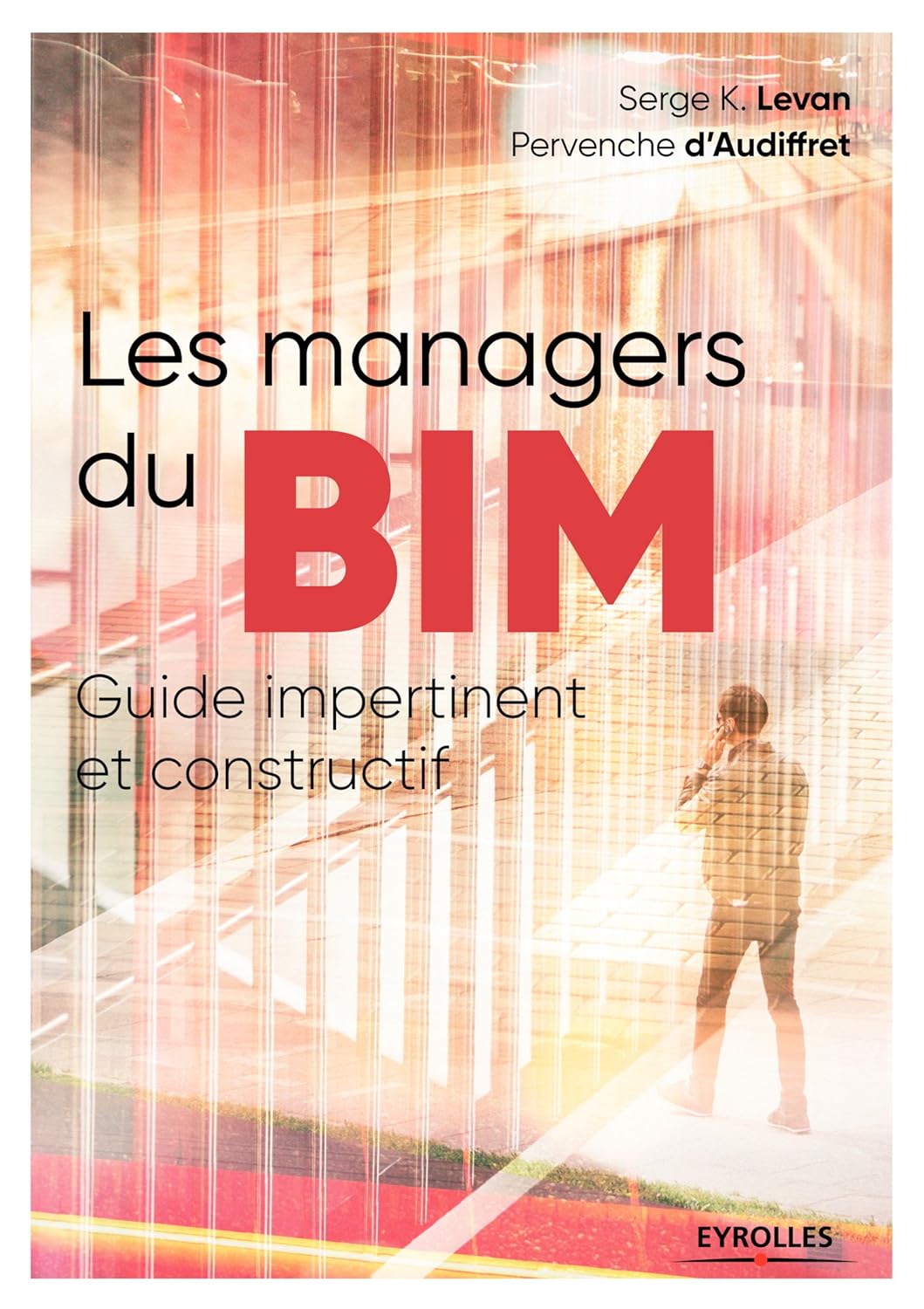 Les managers du BIM: Guide impertinant et constructif (Blanche BTP)