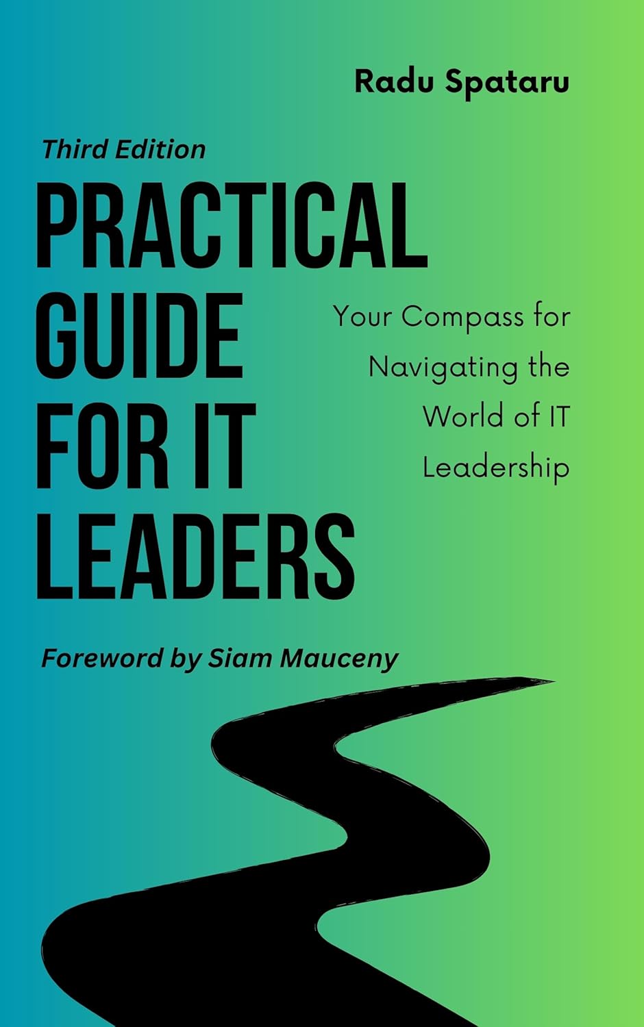 Practical Guide for IT Leaders: Your Compass for Navigating the World of IT Leadership (English Edition)
