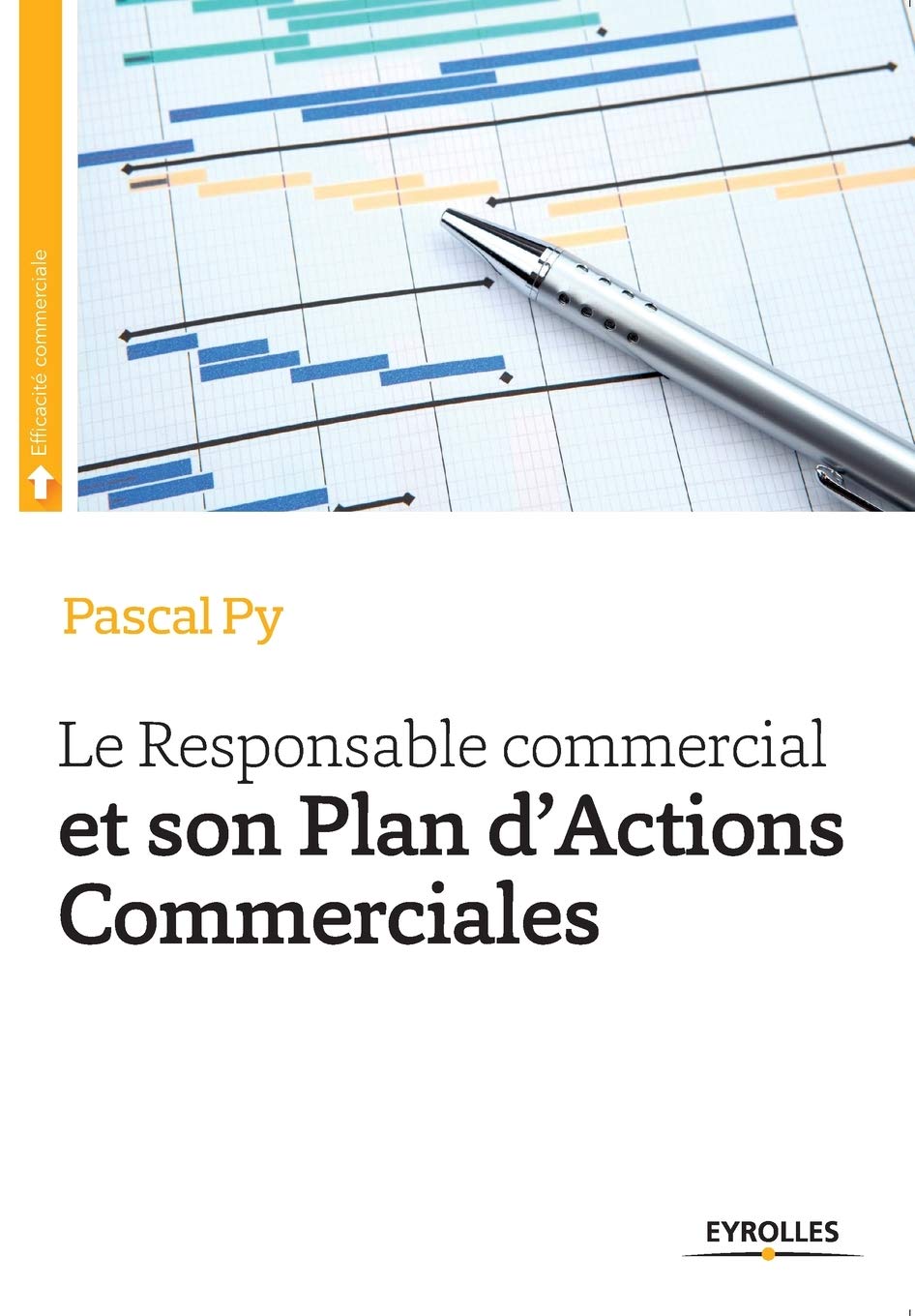 Le Responsable Commercial et son Plan d'Actions Commerciales