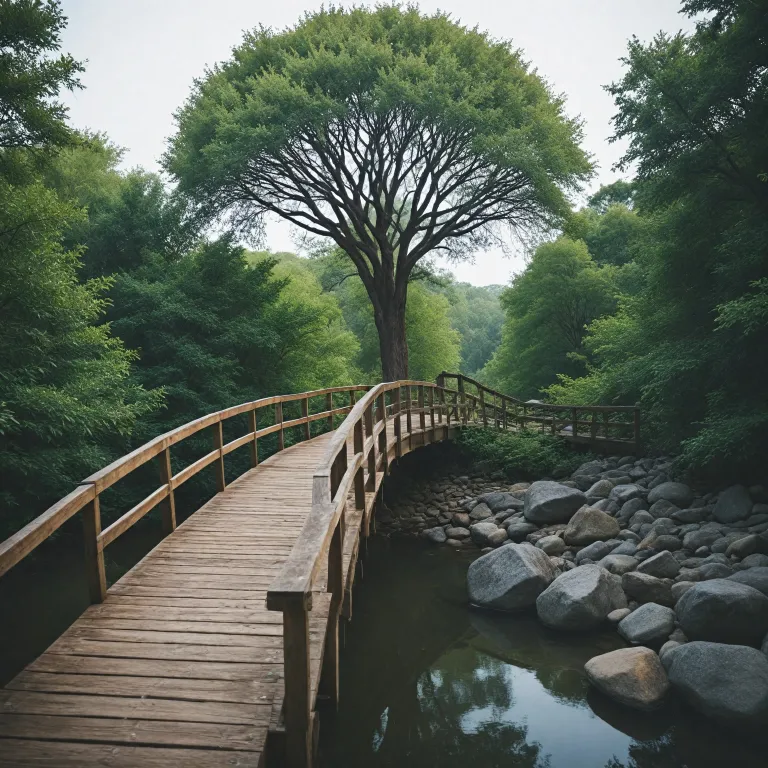 Comprendre les différentes catégories de leadership pour mieux choisir