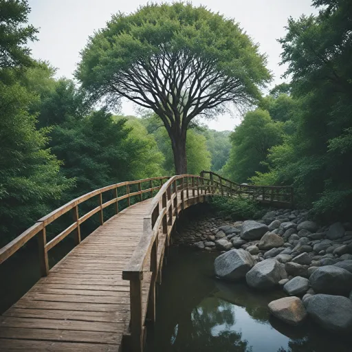 Comprendre les différentes catégories de leadership pour mieux choisir
